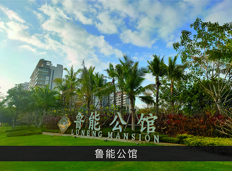 鲁能公馆_尊龙凯时-业绩案例