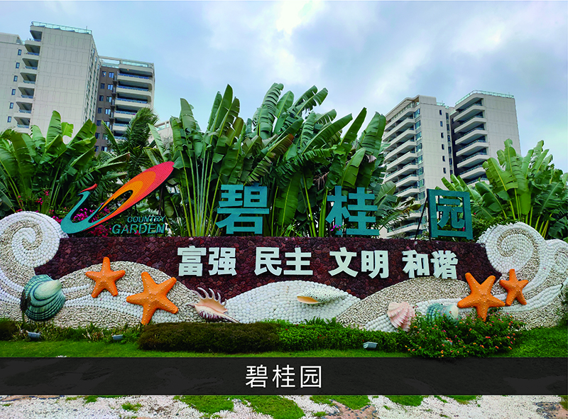 碧桂园_尊龙凯时-业绩案例