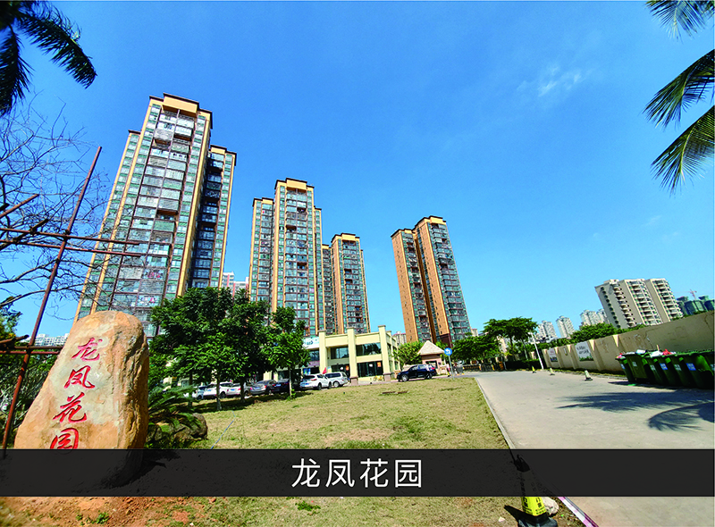 龙凤花园_尊龙凯时-业绩案例