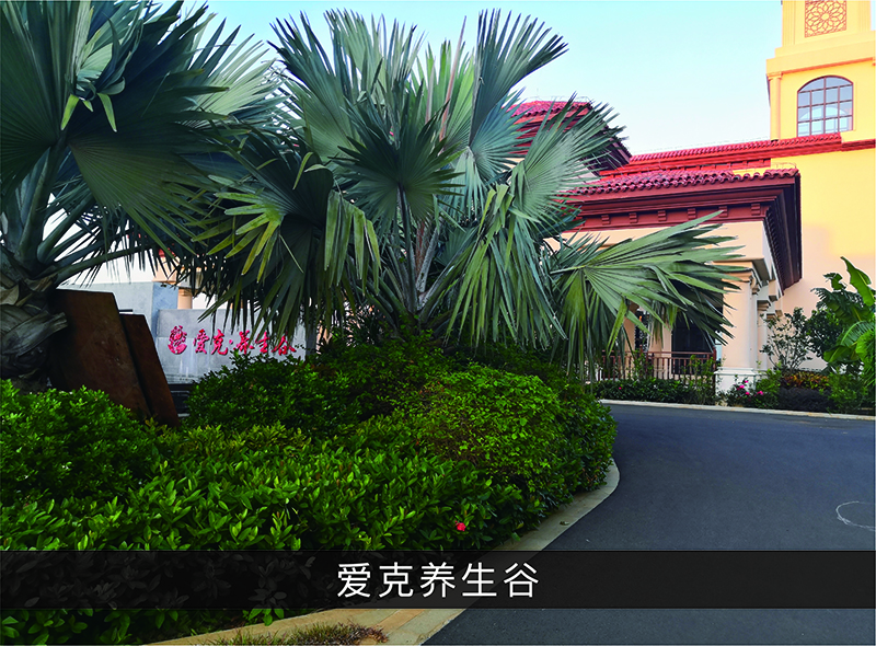 爱克养生谷_尊龙凯时-业绩案例
