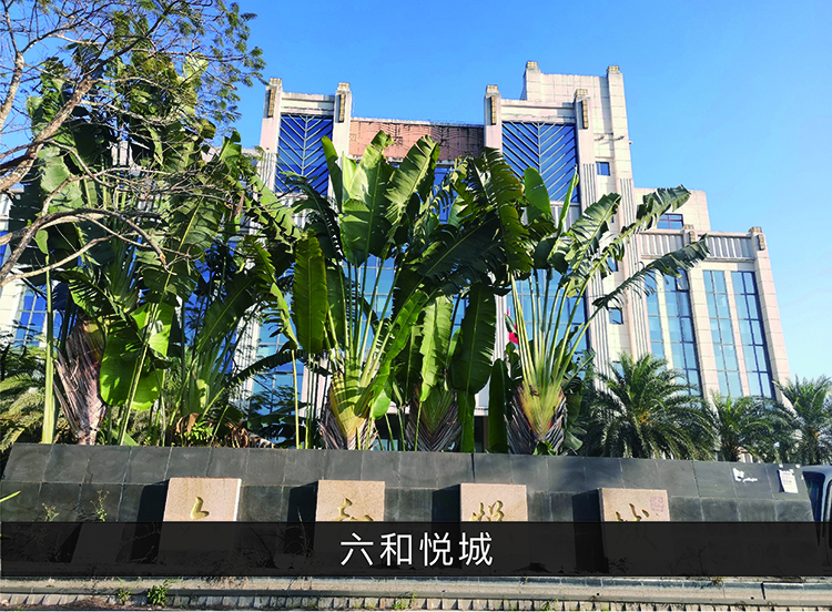 六合悦城_尊龙凯时-业绩案例