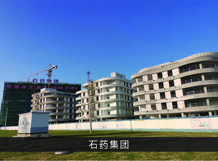 石药集团_尊龙凯时-业绩案例