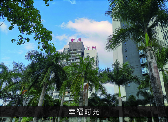 尊龙凯时-业绩案例