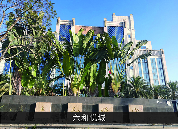 尊龙凯时-业绩案例