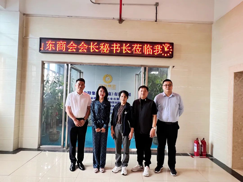 海南省山东商会会长秘书长一行人到尊龙凯时莅临指导_尊龙凯时-新闻中心
