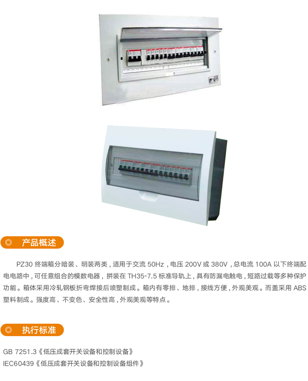 PZ30终端配电箱_尊龙凯时-产品及效劳